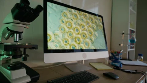 Table with Test Tubes, Microscope and Computer with Molecules on Screen in Lab Stock Footage 332360215