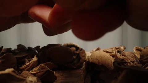 On the table, there remains one whole walnut, which you pick up and proceed to c Stock Footage 245949539