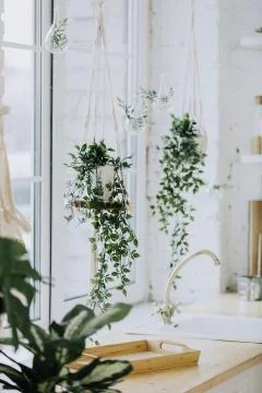 Table top with blurred kitchen interior as background Stock Photos