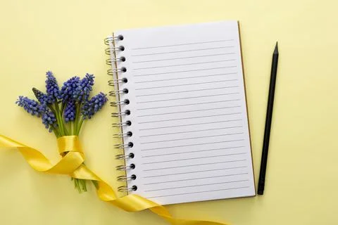 Table top if spring blue muscaries flowers and empty notebook for text on pas Stock-Fotos