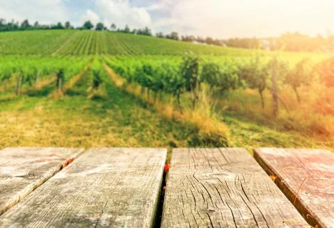 Table top template against vine hill Stock Photos