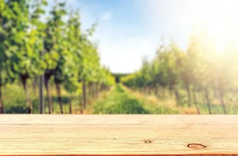 Table top template against vine hill Stock Photos