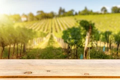 Table top template against vine hill Stock Photos