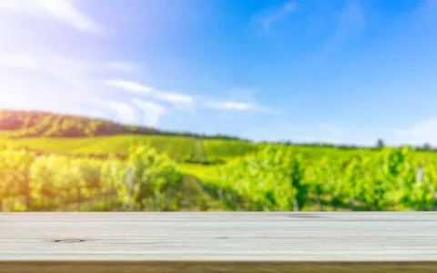 Table top template against vineyard hill Stock Photos