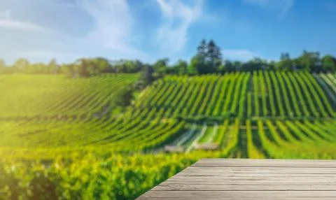 Table top template against vineyard hill Foto stock