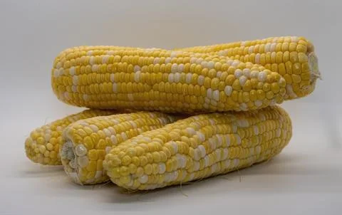 Table Top View of Corn on the Cob, With a White Background, Sitting on the Table Stock Photos