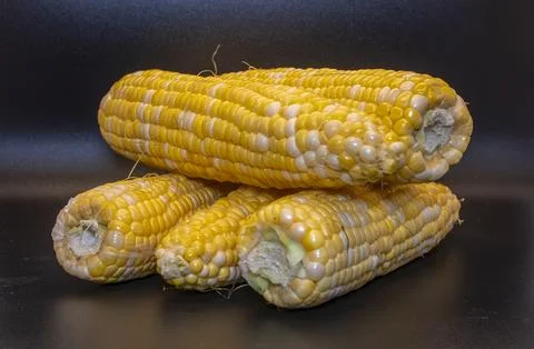 Table Top View of Corn on the Cob, Whit a Black Background, Sitting on the Table Stock Photos