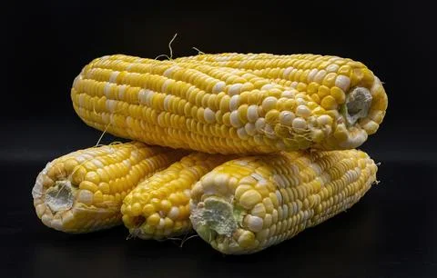 Table Top View of Corn on the Cob, Whit a Black Background, Sitting on the Table Stock Photos