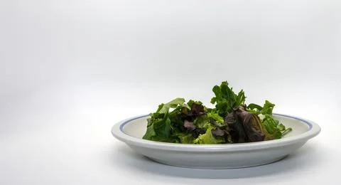 Table Top View of a Spring Lettuce Salad on a Plate With a White Background Stock Photos