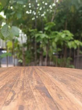 Table with tree background Stock Photos