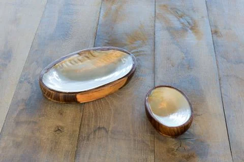Table with two ashtrays from seashells Stock Photos