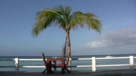 Table for Two 스톡 동영상 376159