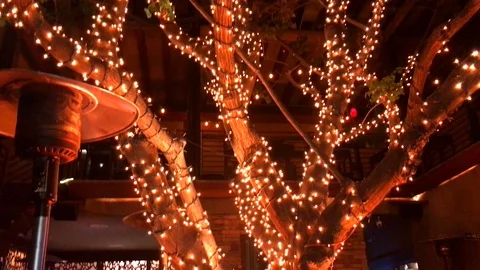 Table Under a Tree Video stock 97968199