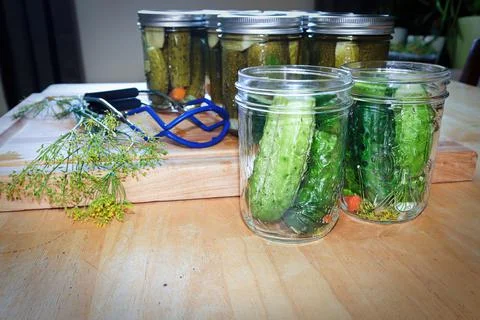 Table view of pickling jars full of canned and fresh cucumbers Stock Photos
