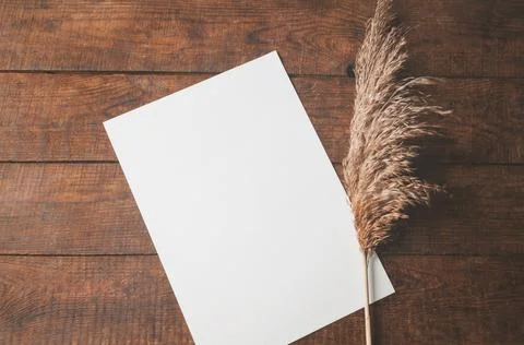 On the table is a white sheet of paper with dried flowers. Stock Photos
