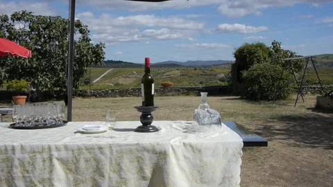 A table with wine and glasses in the yard. Stock Footage 80248747