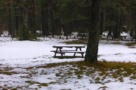 Table in the winter forest Foto stock