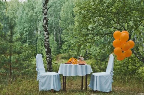 Table in the wood 1965. Stock Photos