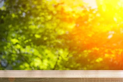 Table wood background in forest. Background of a blurred green summer forest Stock Photos