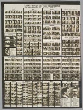 Tableau synoptic des traits physionomiques: pour servir a l'tude du "portra.. Stock Photos