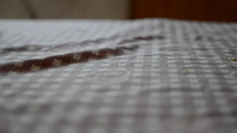 Tablecloth Video stock 164443329