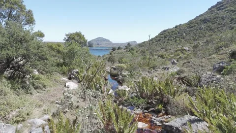 TableMountain DroneStream Stock Footage 277829982