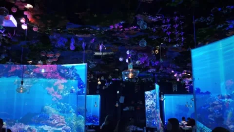 Tables and screens in the Under the Sea restaurant, Paris, France Stock Footage 290857877