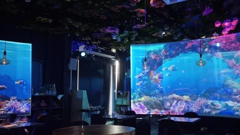 Tables and screens in the Under the Sea restaurant, Paris, France Stock Footage 290914630