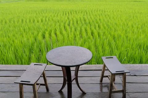 Tables and views of the fields 스톡 사진