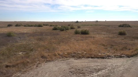 The tables of daimiel in Ciudad Real Video stock 98043363