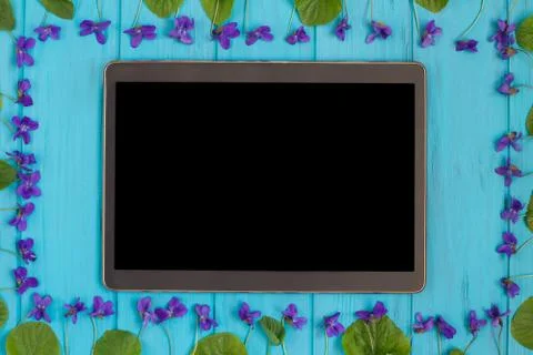 Tablet and forest violets on bright turquoise table, free space Stock Photos