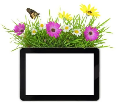 Tablet with blank white screen,grass and flowers Stock Photos