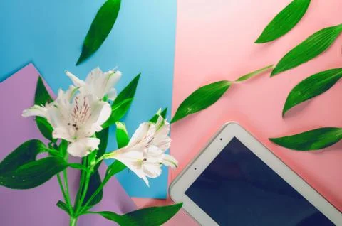 Tablet for communication. technologies. flowers Stock Photos