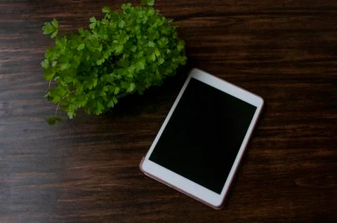 Tablet computer, and green sprouts. Gardening notes. Mockup. 스톡 사진