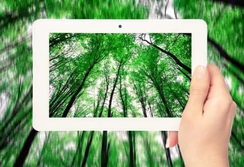 Tablet computer in hand on the forest backgrounds Stock Photos