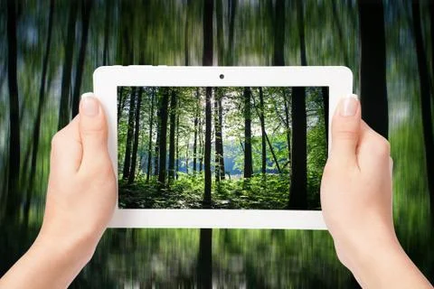 Tablet computer in hand on the forest backgrounds Stock-Fotos