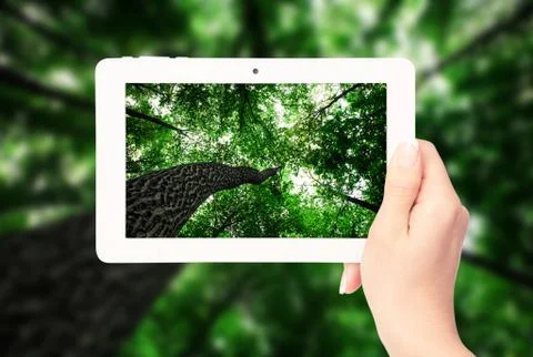 Tablet computer in hand on the forest backgrounds Stock Photos
