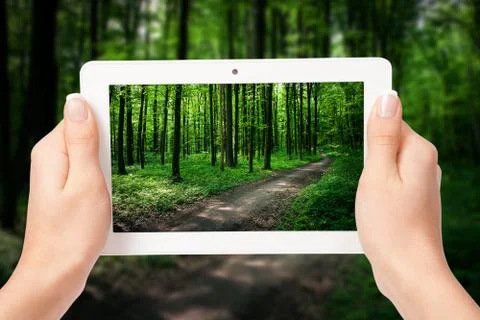 Tablet computer in hand on the forest backgrounds Stock-Fotos