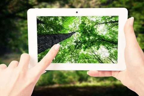 Tablet computer in hand on the forest backgrounds Stock-Fotos