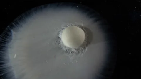 Tablet Dissolves In Liquid. Timelapse Stock Footage 186927150