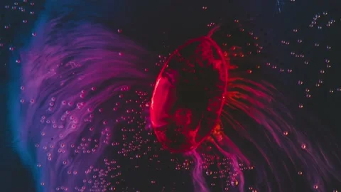 The tablet dissolves in water Video stock 233743348