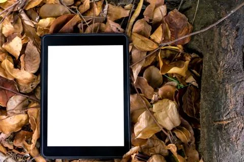 Tablet image, black machine, white screen 스톡 사진