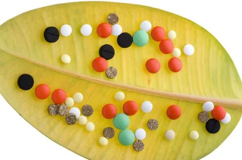 Tablet on leaf on white macro Stock Photos