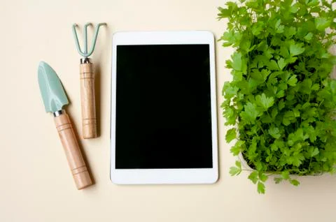 Tablet for making garden notes, green fresh sprouts and tools for planting. Stock Photos