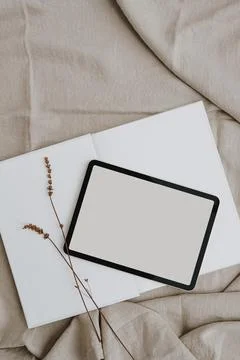 Tablet pad screen with empty free copy space for mock up, dried grass on neut Stock Photos