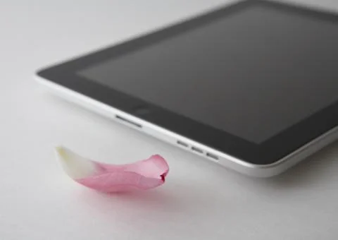Tablet PC and petal Stock Photos