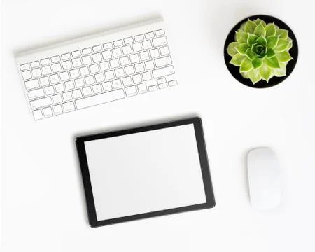 Tablet pc computer, keyboard, mouse and succulent flower in pot. Stock Photos