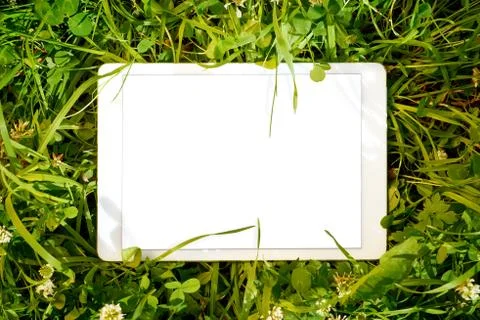 Tablet PC in green herbs Stock-Fotos