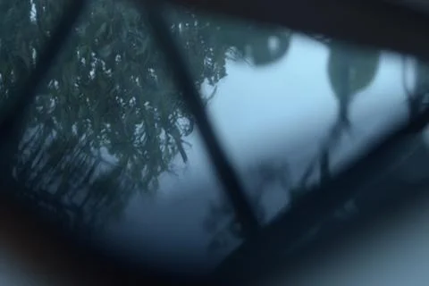 Tablet screen reflection of leaves in window 写真素材