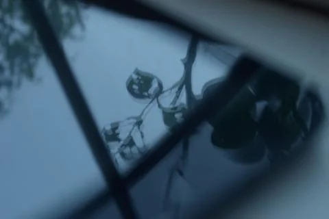 Tablet screen reflection of leaves in window Stockfoto's